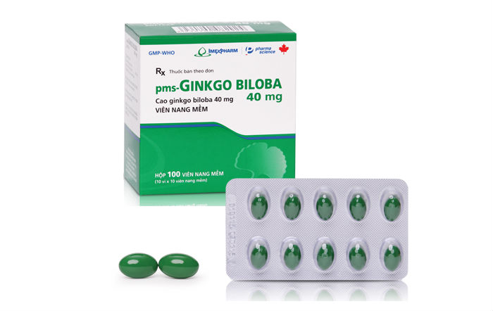 GINKGO BILOBA 40