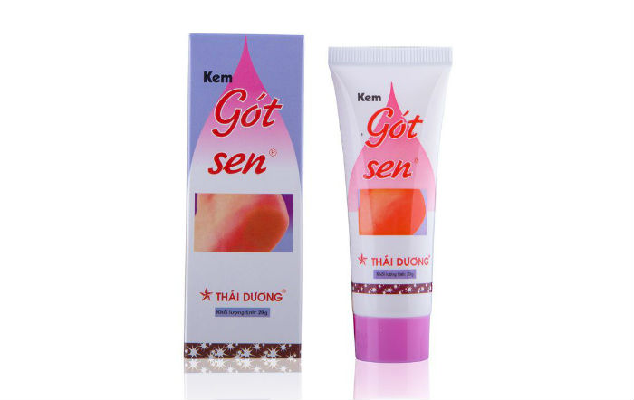 GÓT SEN THÁI DƯƠNG