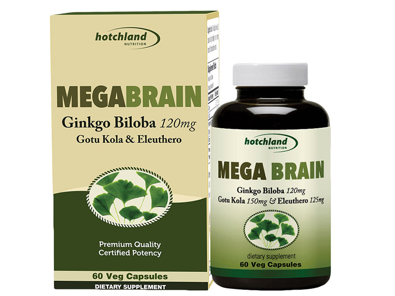 MEGA BRAIN