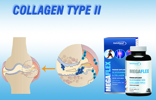 MEGAFLEX